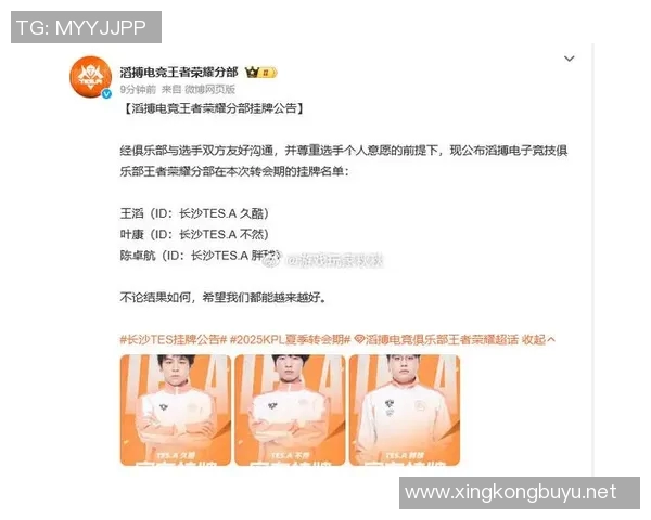 王者荣耀聚焦TES战队技术分析与战术探讨全方位解读 王者荣耀聚焦TES战队技术分析与战术探讨全方位解读