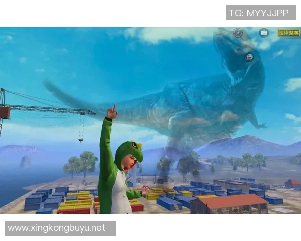 陈娜畅谈和平精英成长之路与未来展望的专访回顾 陈娜畅谈和平精英成长之路与未来展望的专访回顾